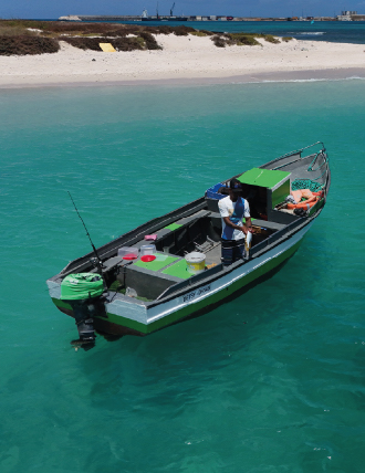 Activities Image
